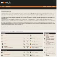 ngb - das wirklich unabhängige IT- und Tech-Board